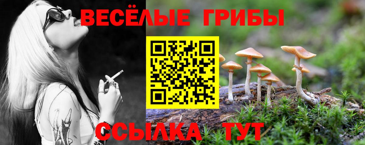 Галлюциногенные грибы мицелий Москва
